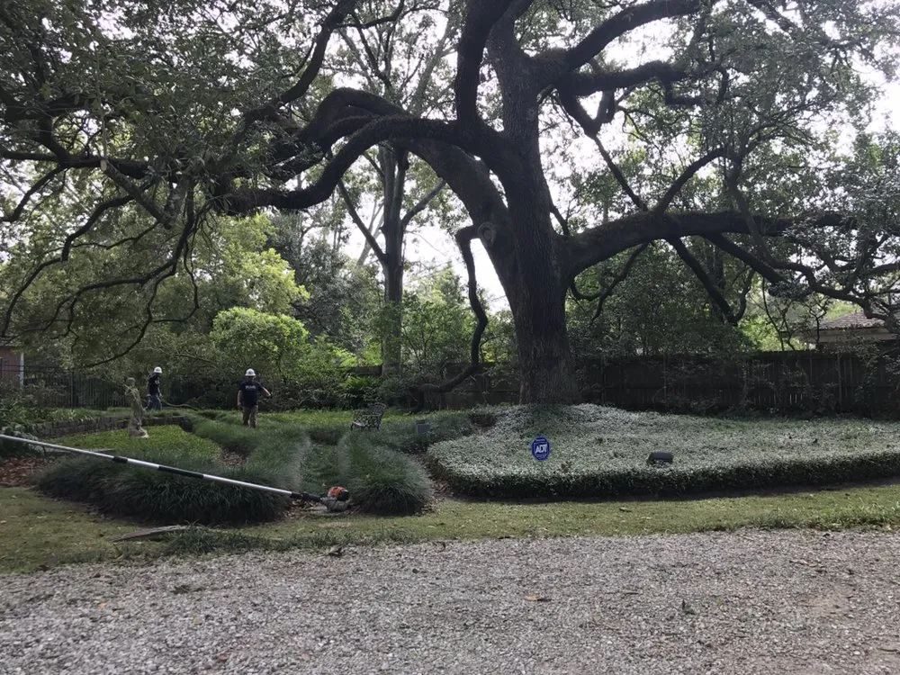 Custom yard maintenance in Kenner, LA by Risk Tree Service