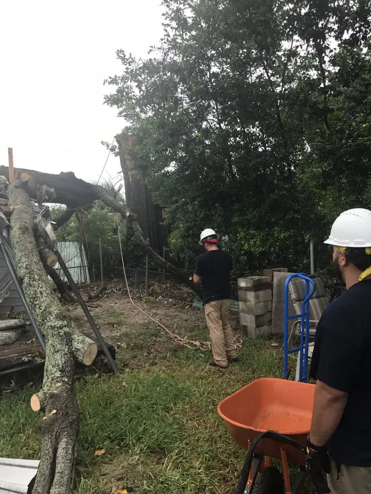 Reliable lawn mowing service in Kenner, LA - Risk Tree Service