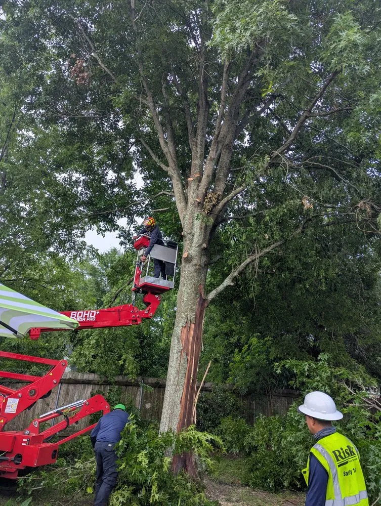 Trusted landscape design for residential properties across Kenner, LA - Risk Tree Service
