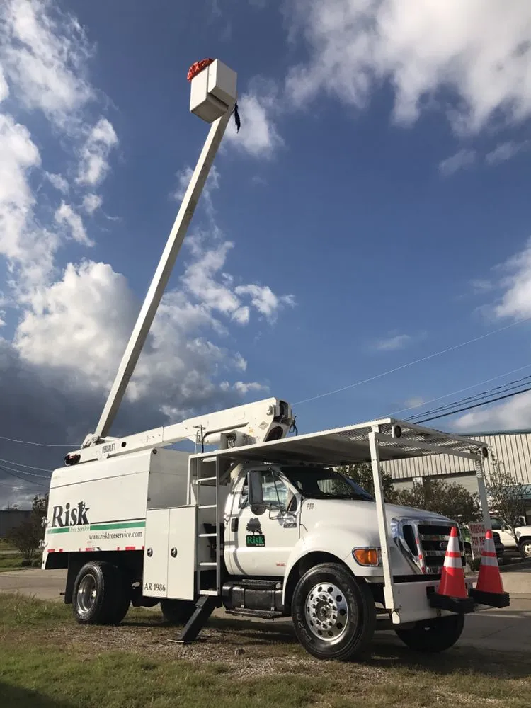 Reliable landscape installation in Kenner, LA - Risk Tree Service