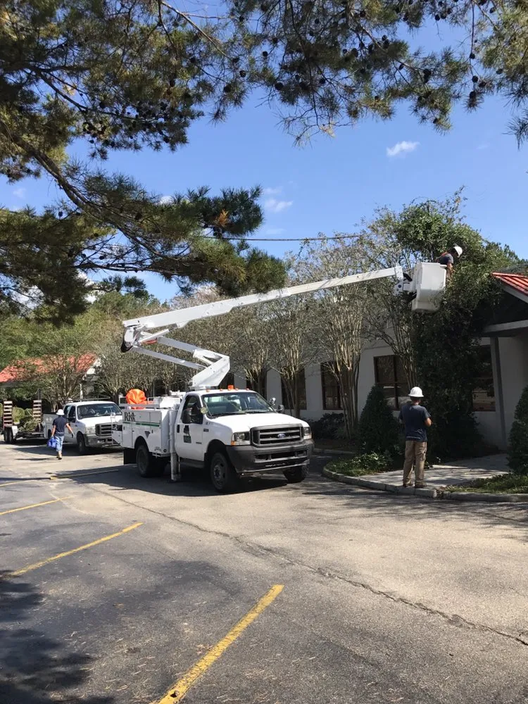 Trusted lawn care service in Kenner, LA by Risk Tree Service