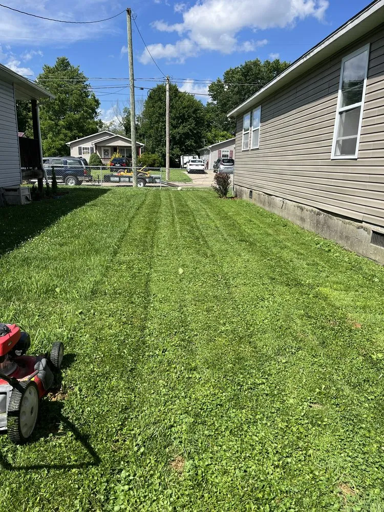 Top-rated yard cleanup service experts serving Kingsport, TN - Risney Lawn & Landscapes