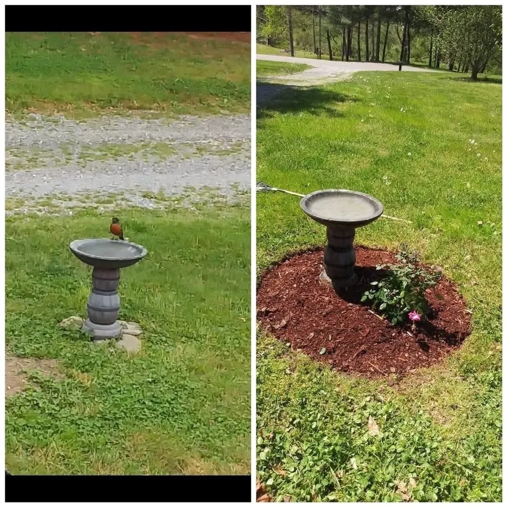 Trusted lawn care service experts serving Kingsport, TN - Risney Lawn & Landscapes