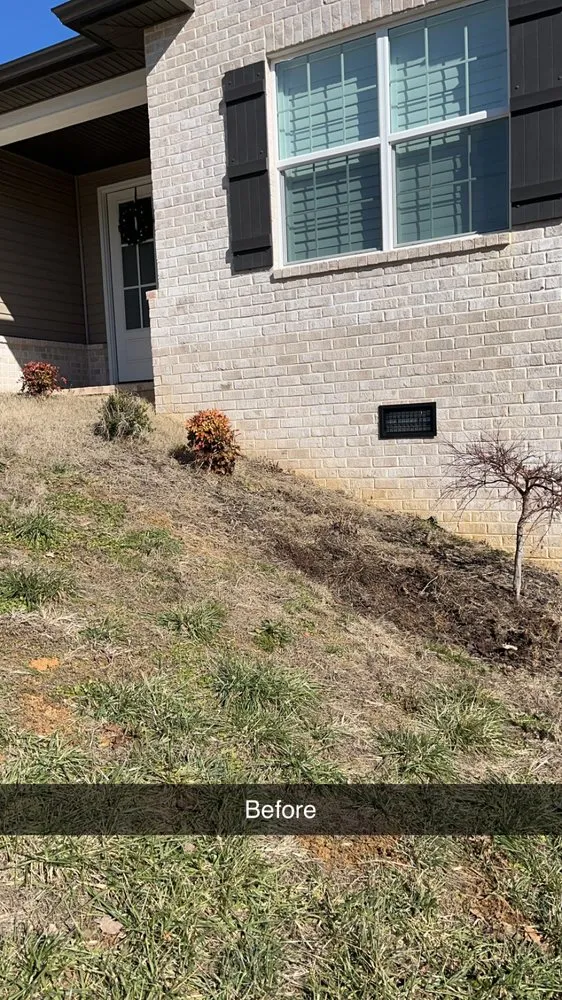 Trusted residential landscaping in Kingsport, TN by Risney Lawn & Landscapes