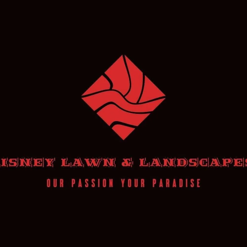 Top-rated landscaping services in Kingsport, TN by Risney Lawn & Landscapes