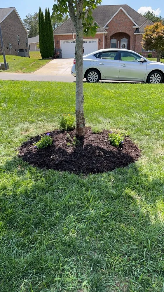 Reliable lawn mowing service experts serving Kingsport, TN - Risney Lawn & Landscapes