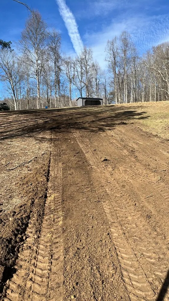 Expert lawn care service for homes across Kingsport, TN - Risney Lawn & Landscapes