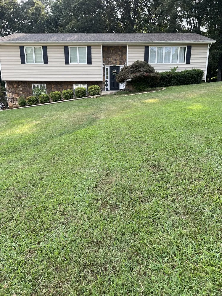 Custom landscape installation for homes across Kingsport, TN - Risney Lawn & Landscapes