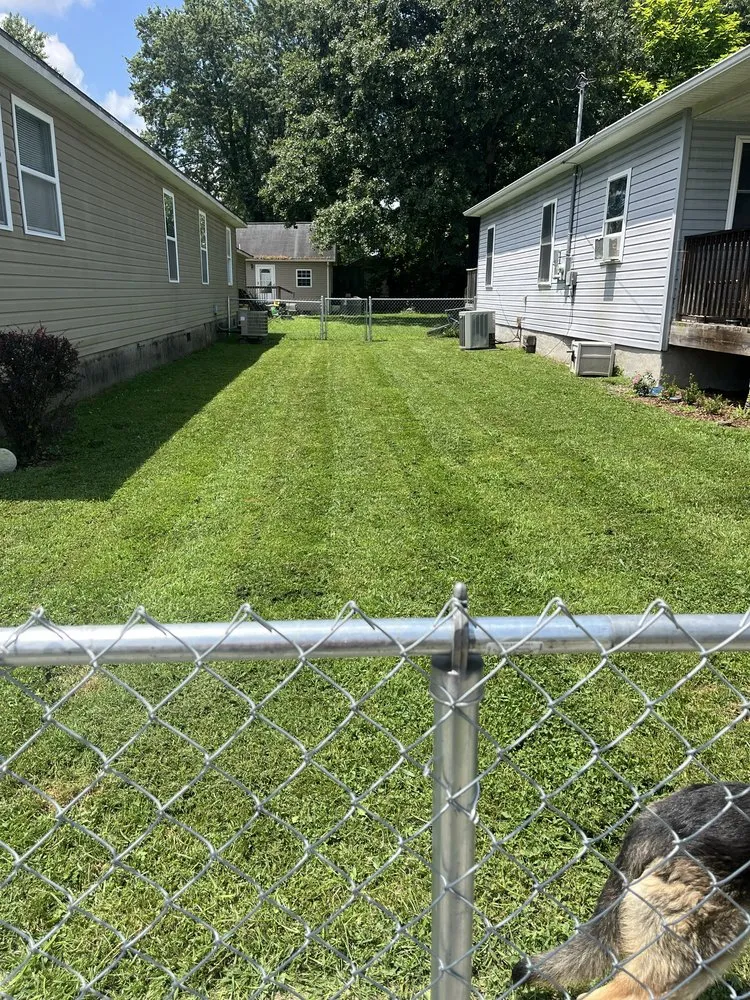 Trusted lawn care service in Kingsport, TN by Risney Lawn & Landscapes