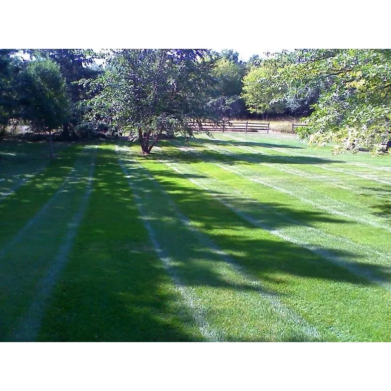 Custom yard cleanup service in Rosemount, MN - Ristau Property Maintenance