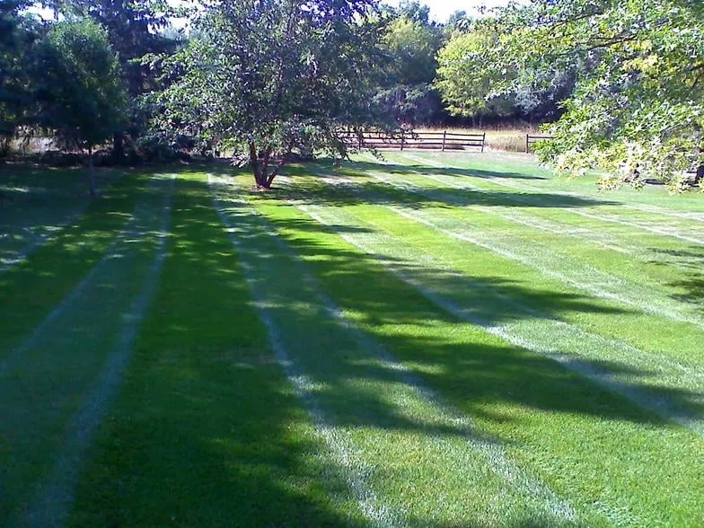 Reliable landscape installation in Rosemount, MN by Ristau Property Maintenance