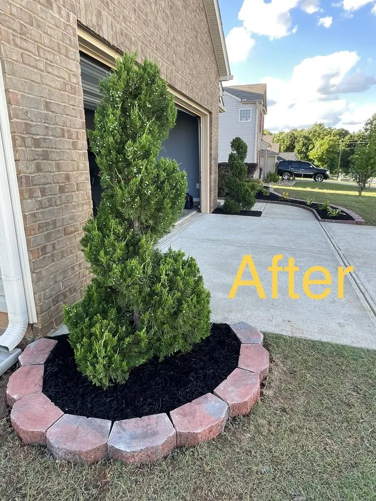 Affordable lawn mowing service in Atlanta, GA - Rita’s Landscaping