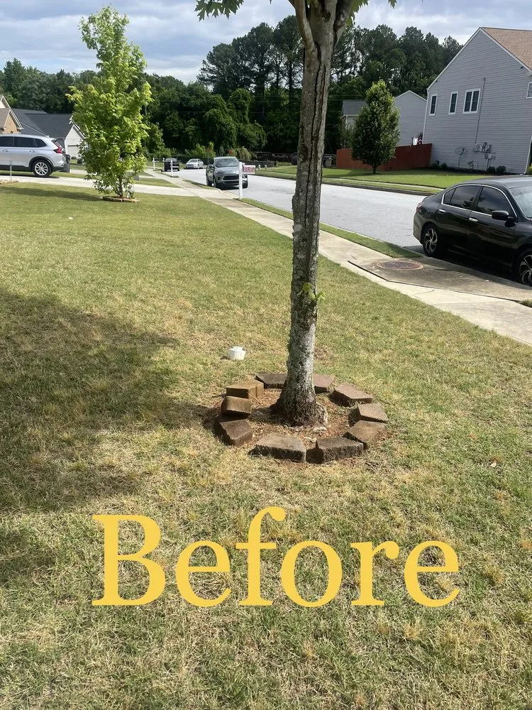 Affordable yard maintenance for outdoor upgrades in Atlanta, GA by Rita’s Landscaping