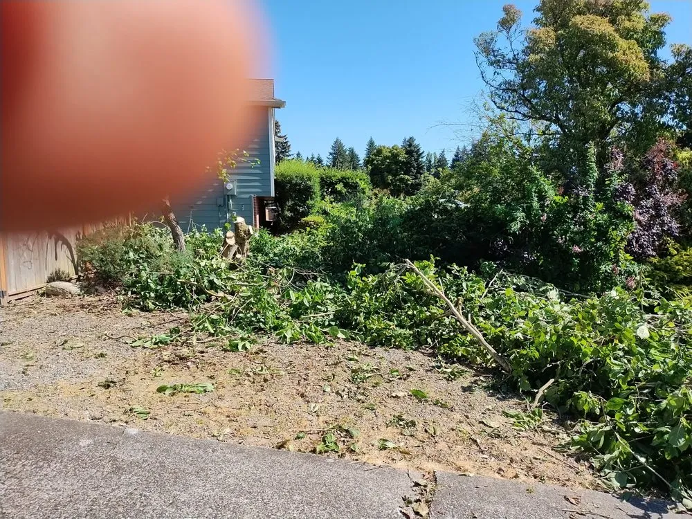 Local yard maintenance for beautiful yards across Bremerton, WA - Rite Away Services