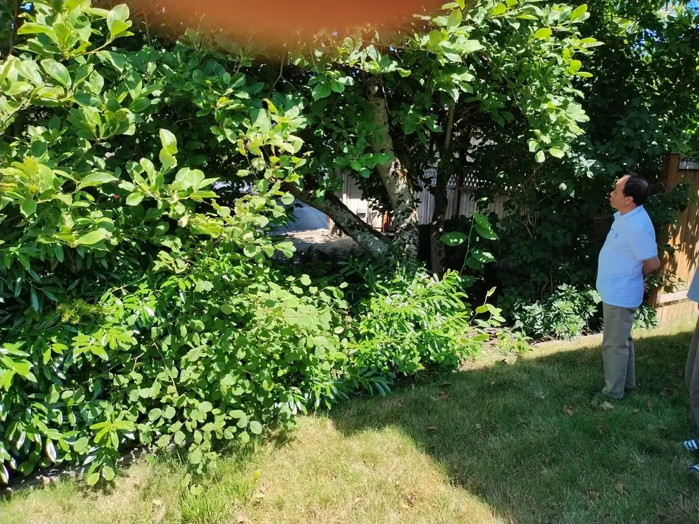 Reliable lawn care service for year-round maintenance in Bremerton, WA by Rite Away Services