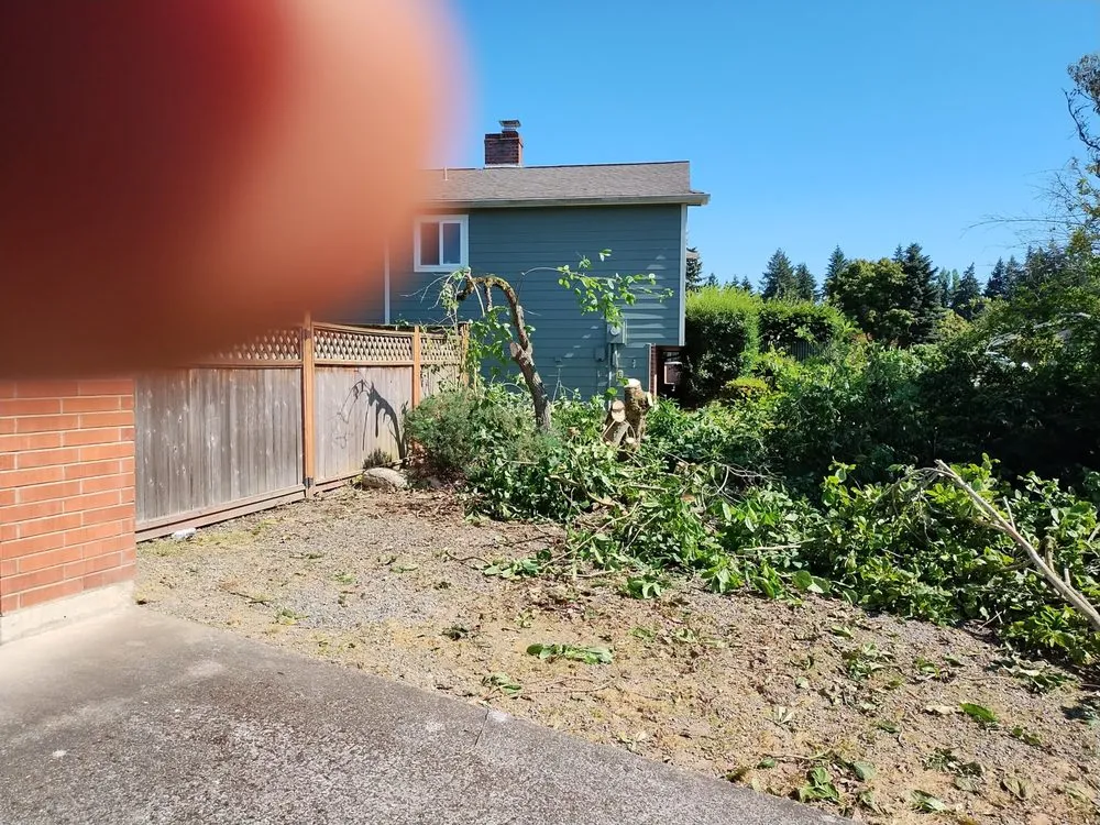 Trusted landscaping services in Bremerton, WA - Rite Away Services