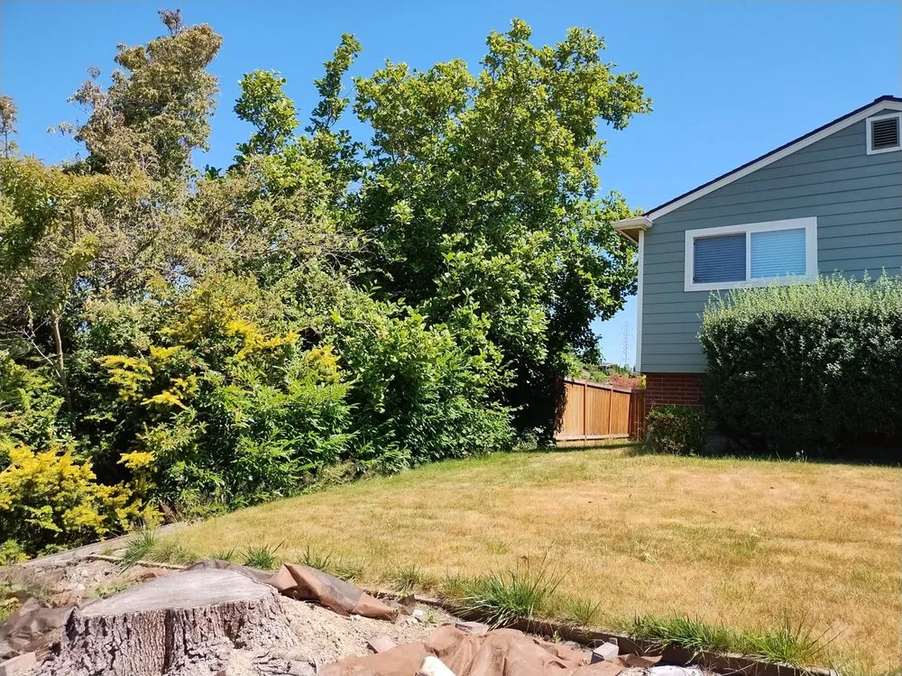 Expert yard cleanup service near you across Bremerton, WA - Rite Away Services