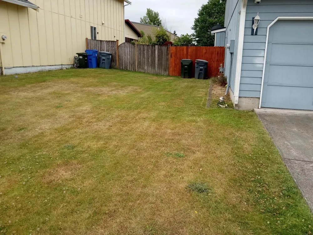 Professional yard cleanup service for homes across Bremerton, WA - Rite Away Services