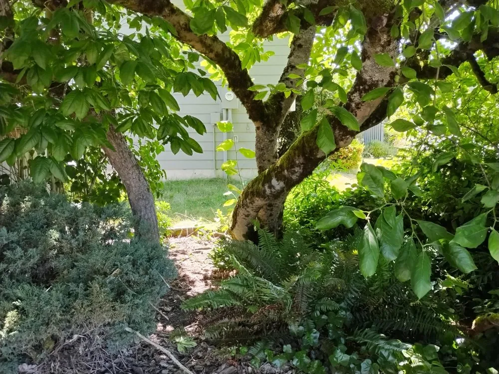 Top-rated landscape design in Bremerton, WA by Rite Away Services