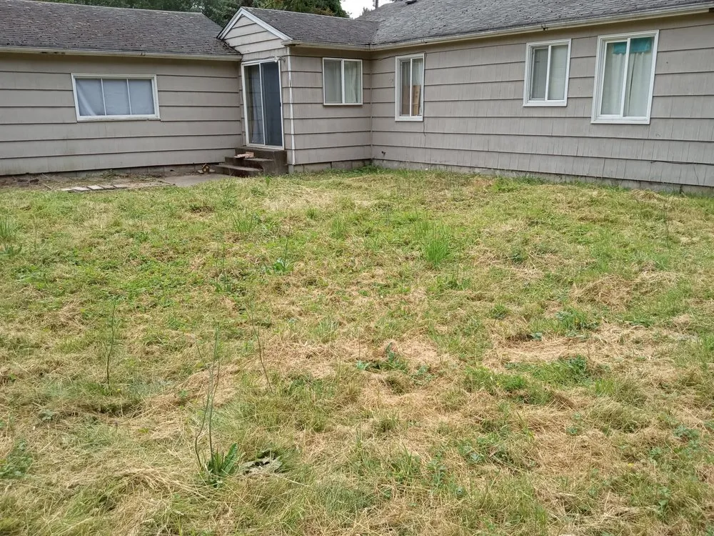 Professional garden landscaping for outdoor upgrades across Bremerton, WA - Rite Away Services