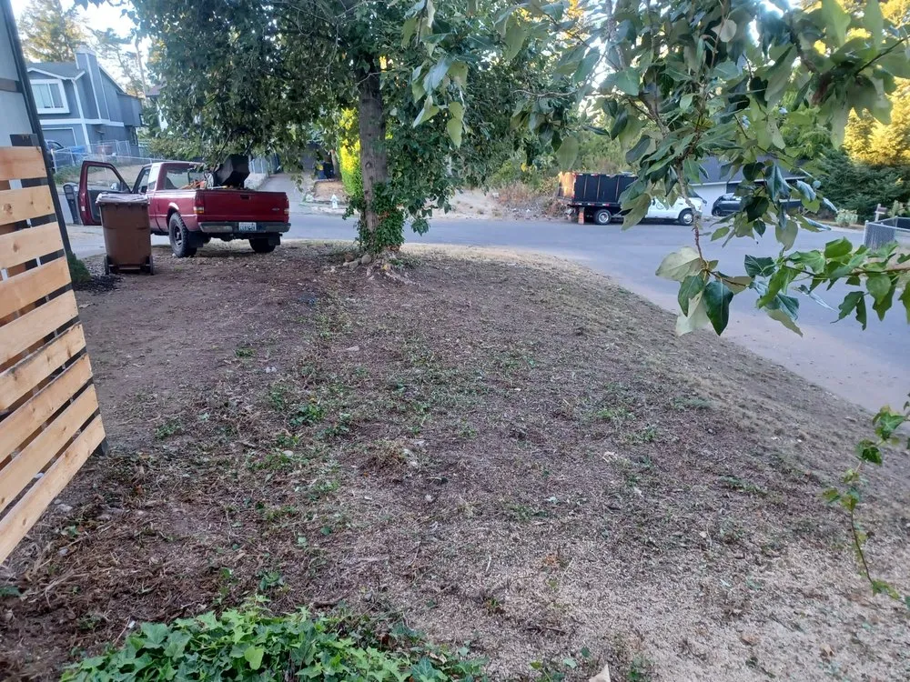 Expert lawn mowing service experts serving Bremerton, WA - Rite Away Services