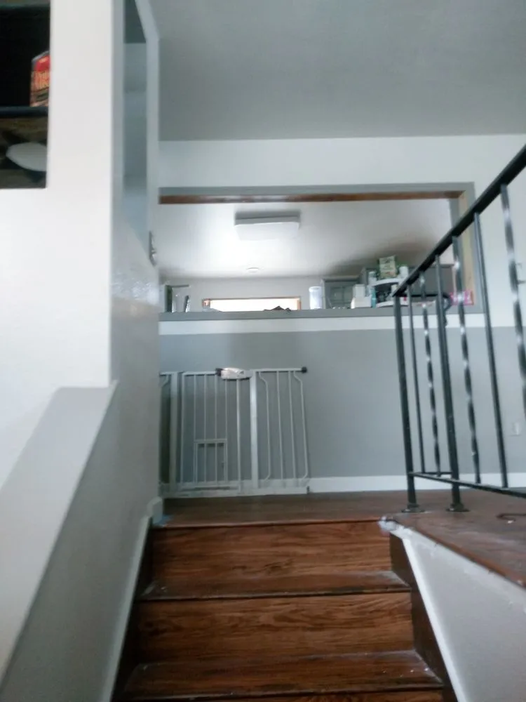 Local landscape design for year-round maintenance across Bremerton, WA - Rite Away Services