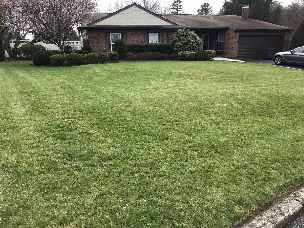 Top-rated yard cleanup service in Miller Place, NY - Riteway Property Service
