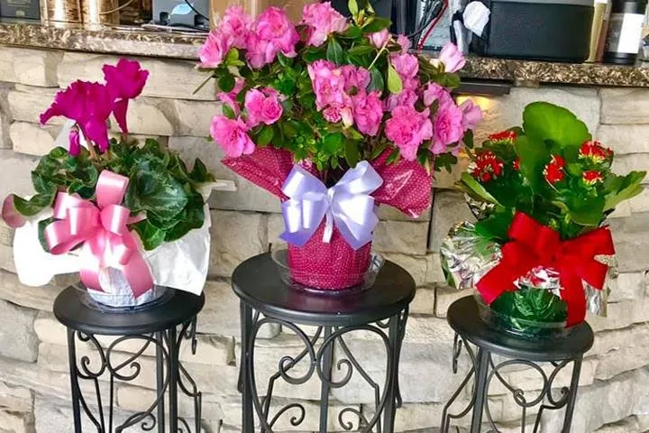 Affordable landscaping services for residential properties across West Burlington, IA - Ritter's