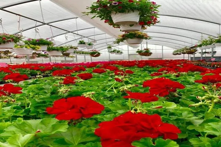 Professional landscaping services in West Burlington, IA by Ritter's