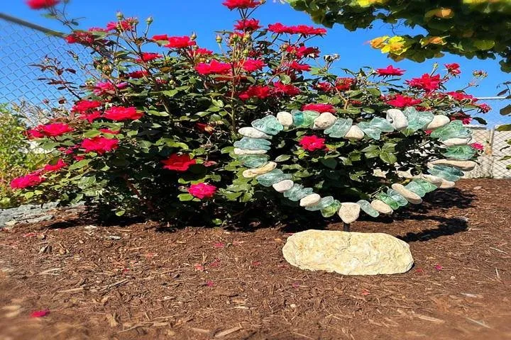 Trusted lawn mowing service experts serving West Burlington, IA - Ritter's