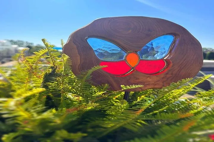 Reliable landscape design in West Burlington, IA - Ritter's