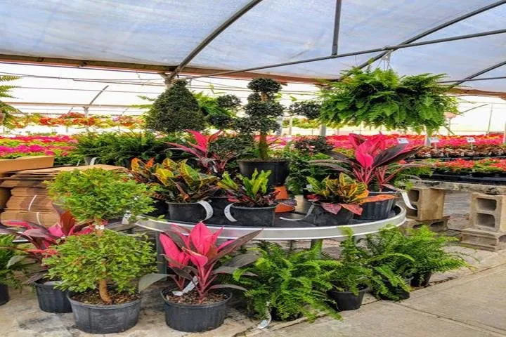 Expert landscape installation for beautiful yards across West Burlington, IA - Ritter's