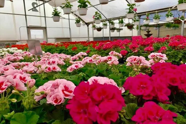 Trusted garden landscaping experts serving West Burlington, IA - Ritter's