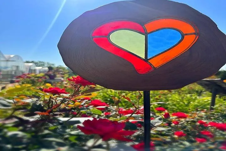 Reliable landscape design with custom design across West Burlington, IA - Ritter's