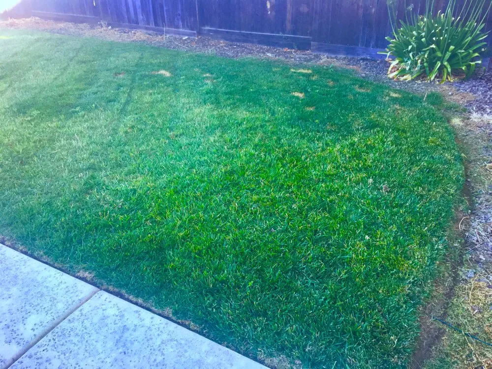 Trusted residential landscaping in Merced, CA by Rivard Lawn Maintenance