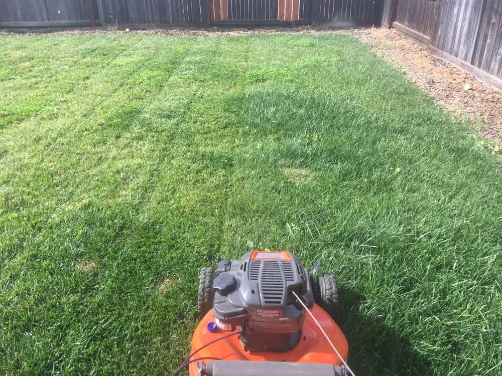 Affordable outdoor landscaping in Merced, CA by Rivard Lawn Maintenance