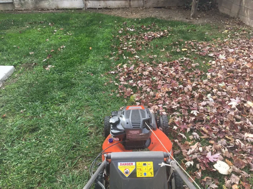 Trusted residential landscaping in Merced, CA by Rivard Lawn Maintenance