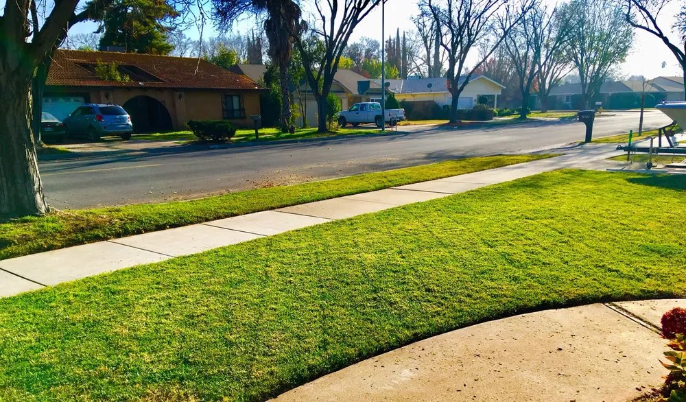Expert lawn care service in Merced, CA by Rivard Lawn Maintenance