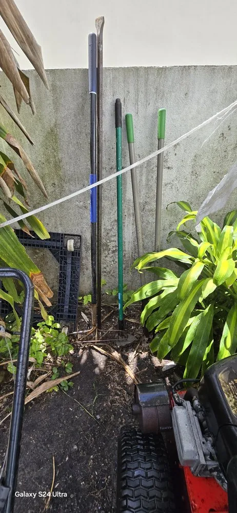 Professional landscaping services experts serving Miami, FL - Rivas And Son Transport