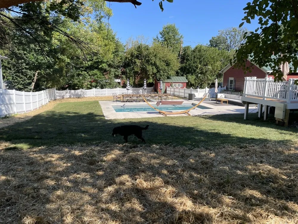 Affordable yard maintenance in Manassas, VA by Rivas Design & Landscaping