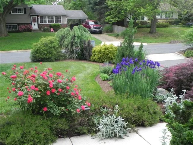 Custom outdoor landscaping for year-round maintenance across Manassas, VA - Rivas Design & Landscaping