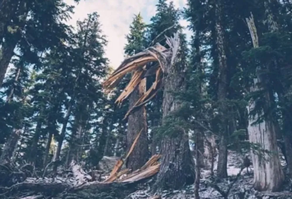 Professional landscape installation experts serving Gardner, MA - Riva's Edge