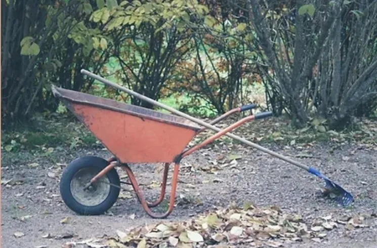 Trusted yard cleanup service for homes in Gardner, MA by Riva's Edge