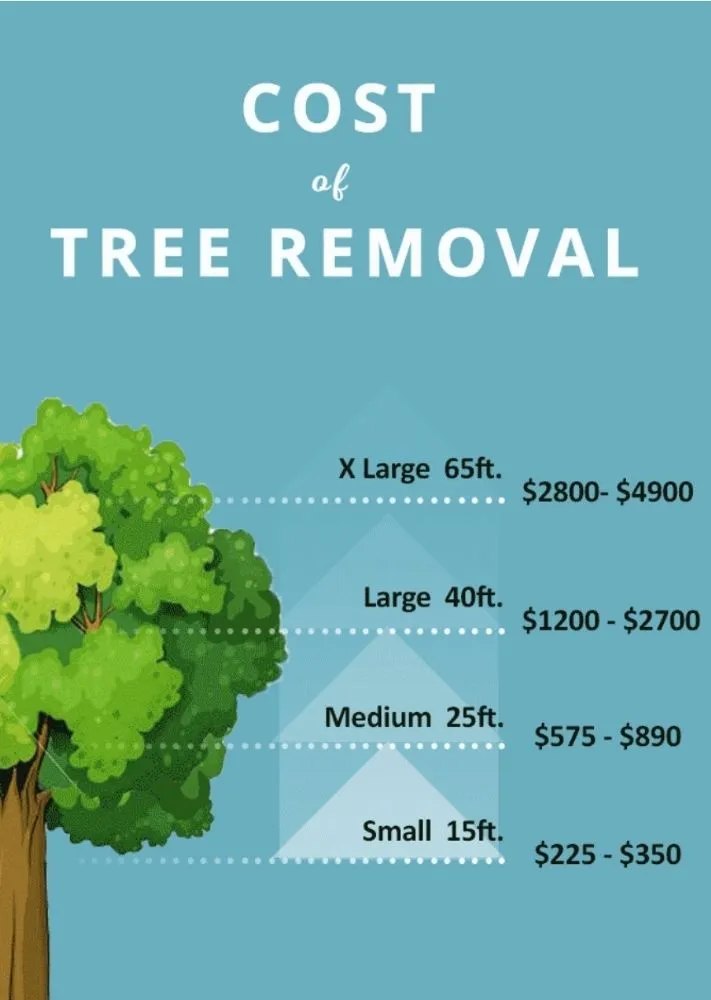 Trusted yard cleanup service for year-round maintenance across Gardner, MA - Riva's Edge