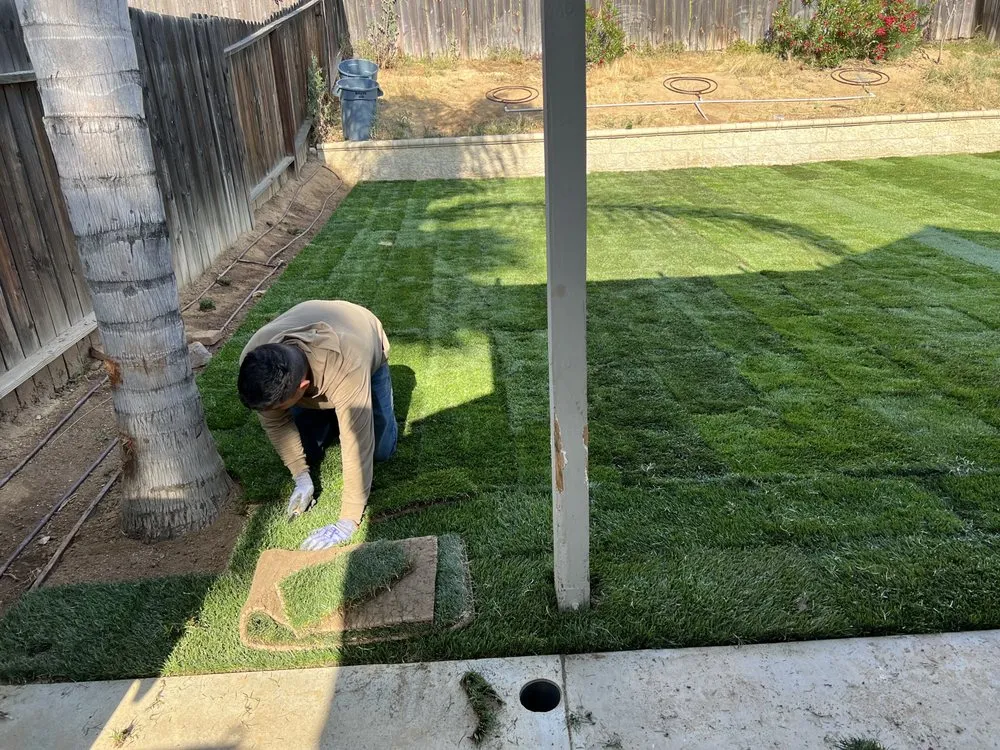 Top-rated yard cleanup service in Rialto, CA - Rivas Landscape