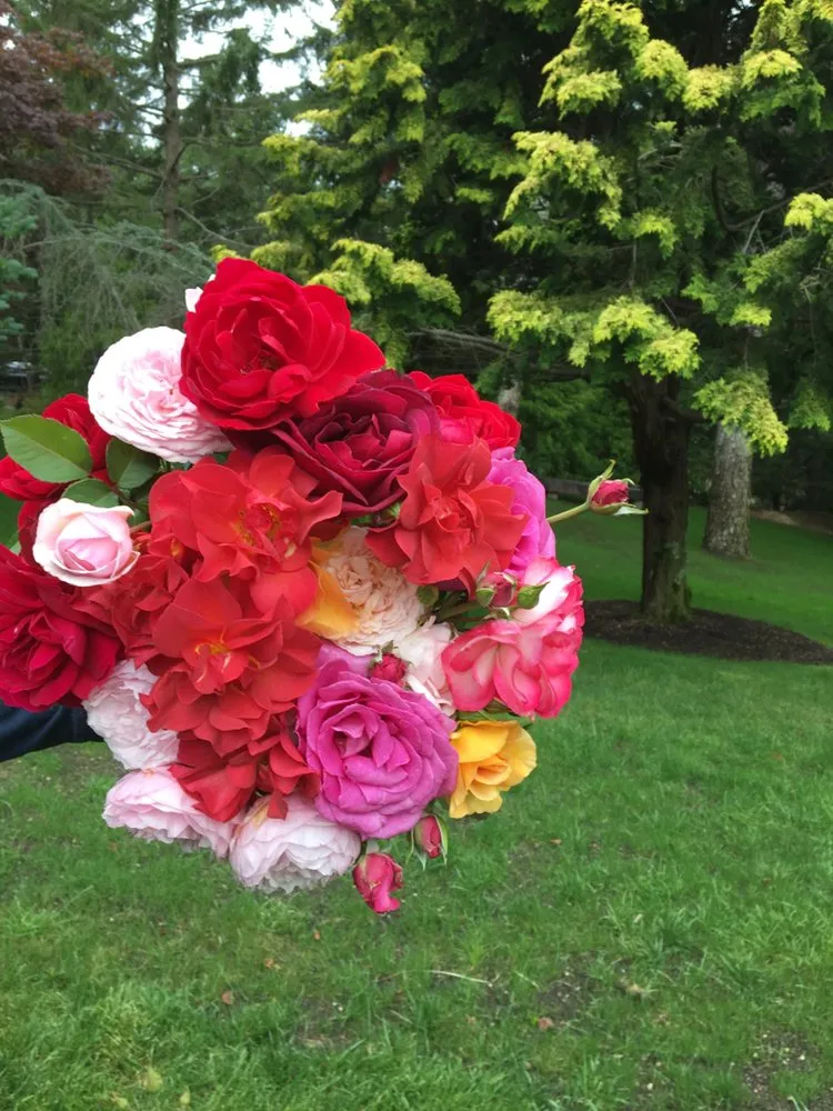 Local lawn care service in Flanders, NY by Rivas Landscaping And Housekeeping