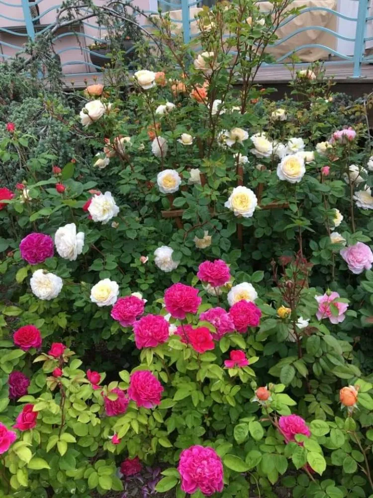 Affordable lawn mowing service experts serving Flanders, NY - Rivas Landscaping And Housekeeping