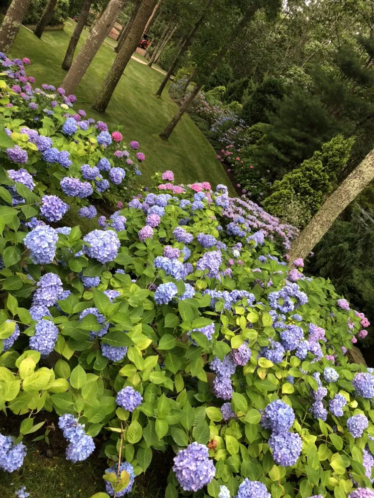Local outdoor landscaping in Flanders, NY by Rivas Landscaping And Housekeeping
