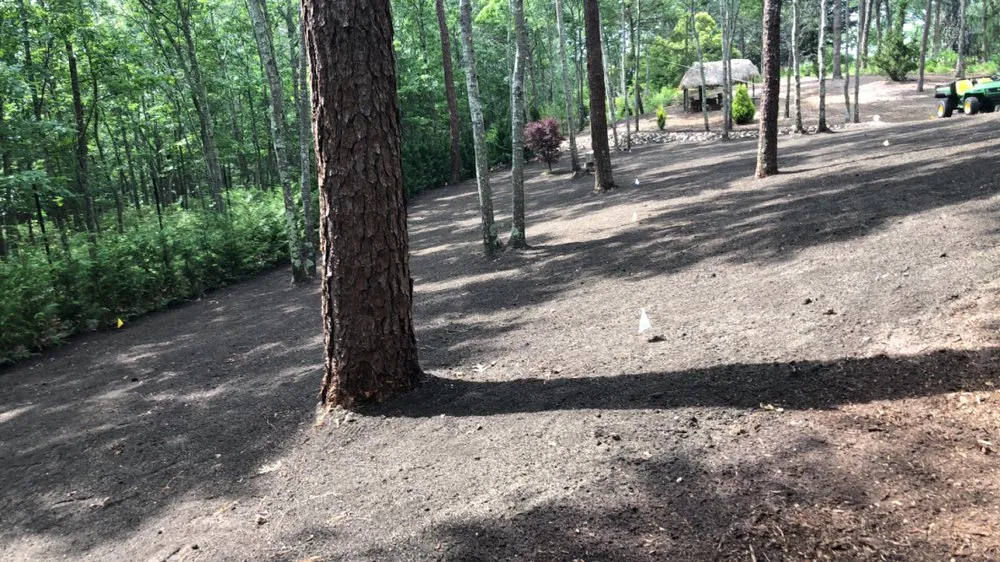 Local landscaping services for beautiful yards in Flanders, NY by Rivas Landscaping And Housekeeping