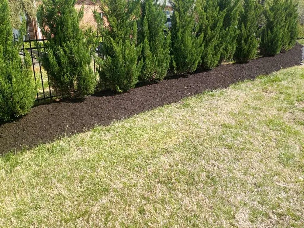Custom yard cleanup service in Berryville, VA - Rivas Landscaping